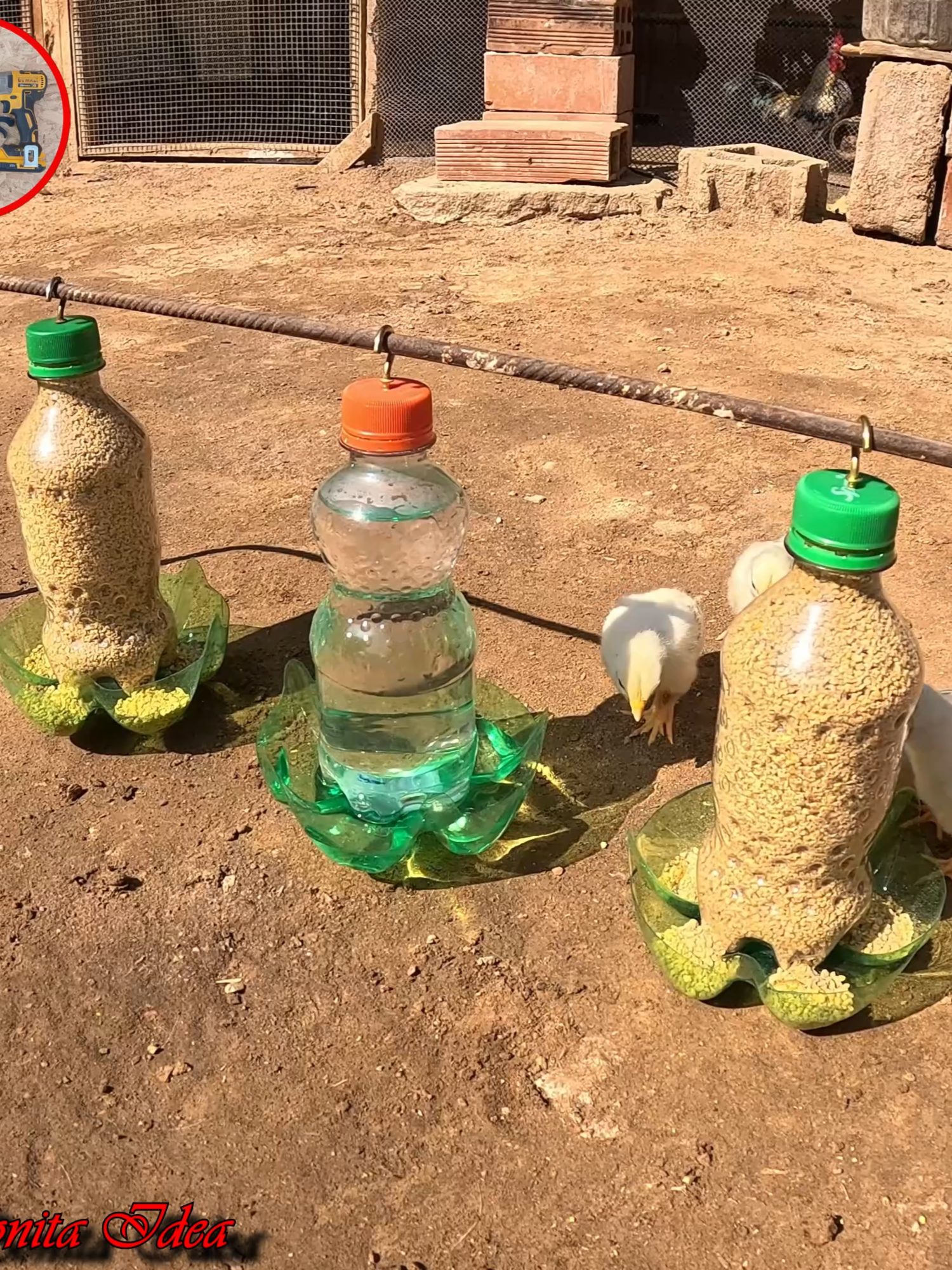 De Basura a Increíble: Comedero y Bebedero Automático para criar Pollitos.