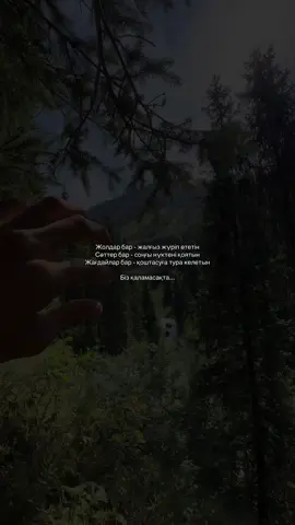 Ән мен фон телеграам арнамдааа