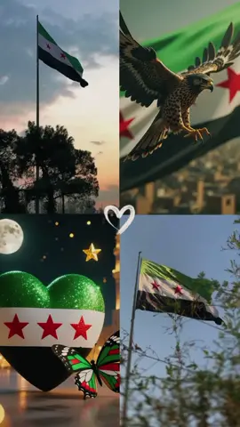 #CapCut أنا سوري ويا نيالي😎💚✌🏻 #ثورة #سوريا #النبض 