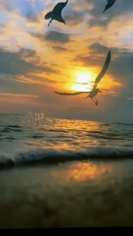 يا لطيف عبدك ضعيف