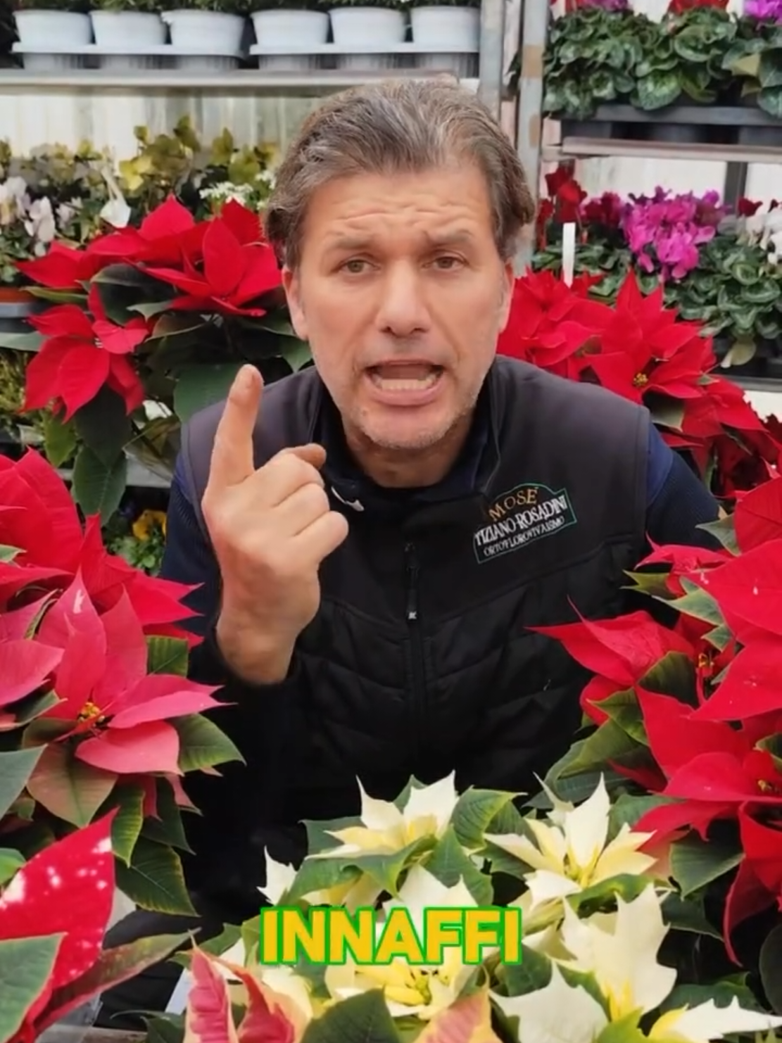 #sephoraalışverişim Vuoi far durare le tue stelle di Natale ?🎄  Beh c’è sicuramente il modo 😉 Se le tue stelle dopo Natale ti abbandonano é colpa infatti del marciume radicale 🫚 Per evitarlo segui tutti i miei consigli e vedrai che le tue stelle di Natale arrivano a durarti un bel po 🎄🎅 E allora che aspetti a seguire le serre di mosé 🎅 #natale #stelladinatale #piante #trucchi 