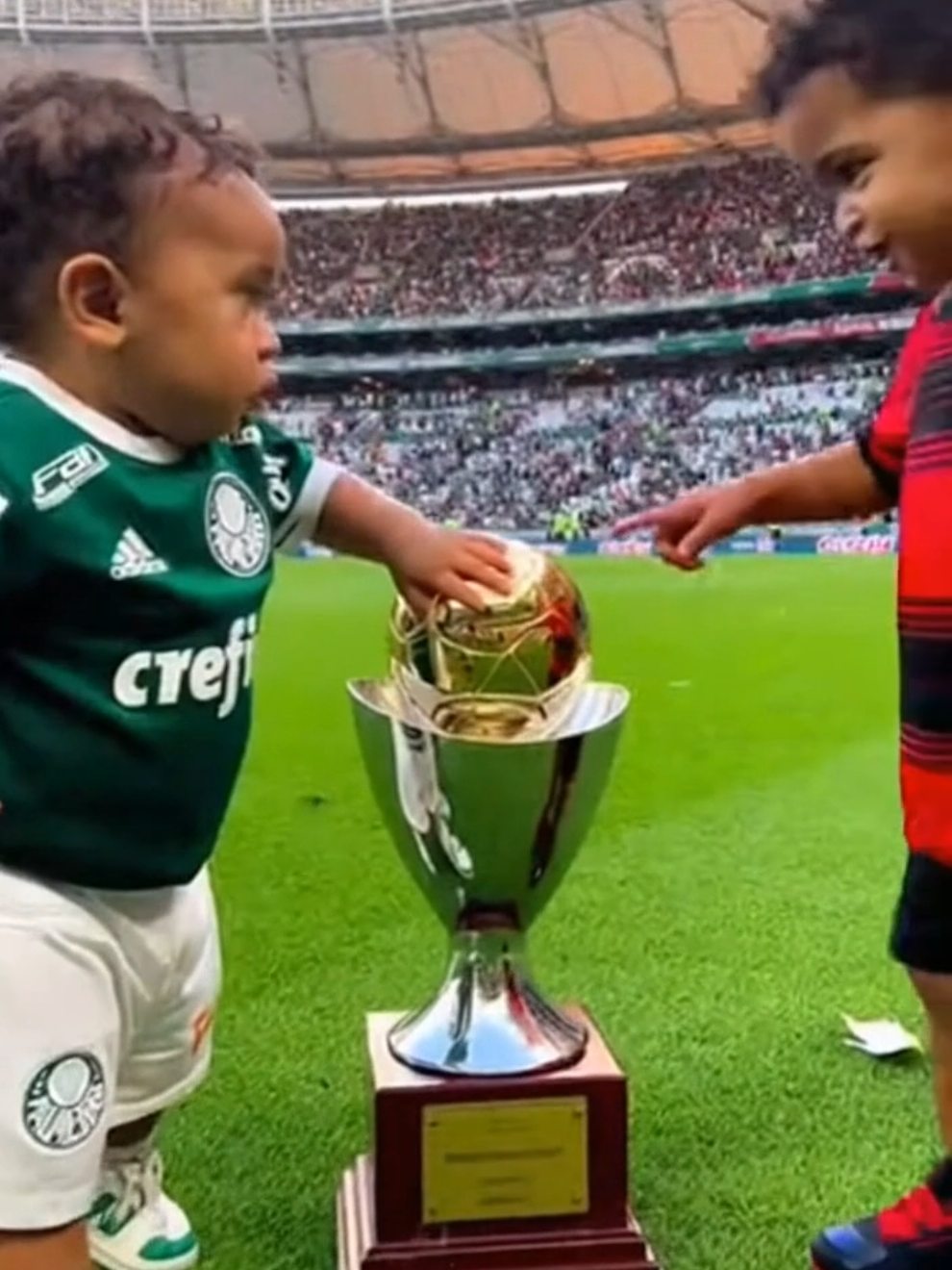 Flamengo campeão. #fyppppppppppppppppppppppp #fyp #flamengo 