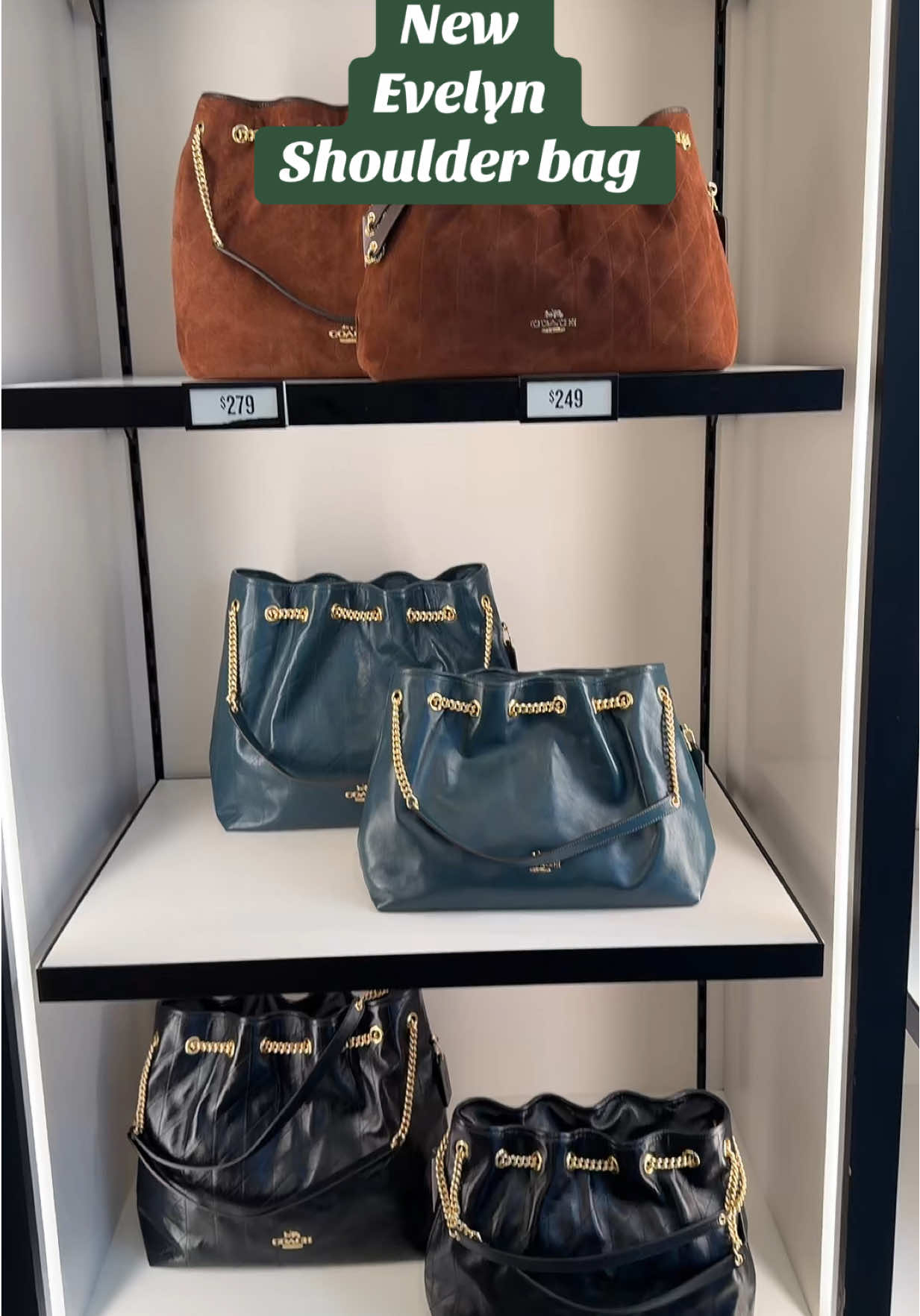 Coach Outlet New Faye and Evelyn shoulder bag ✨🤎 #coachoutletemployee #coachbag #coachnewcollection #coachfaye #coachevelyn @Coach 