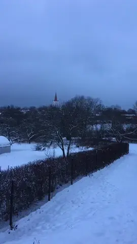 atzime sev zinamu Andri 🤣#šajādienā 