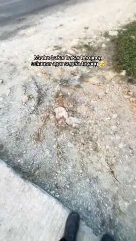 Awal mulanya bakar2 sambi mbok#bahanswmu #fypviralシ #storytime #xyzabc #tambangbatubara 