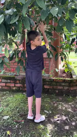 De tal palo, tal astilla 😅 ##humor##parati