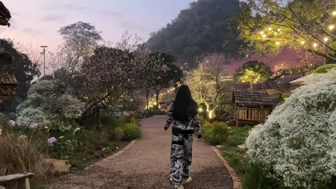 Một con đường đầy hoa #munaufarm #dulich #motchutbinhyen🍀 #muanufarm #munauoi 