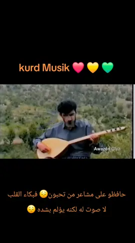 kurd Musik #❤️💛💚 