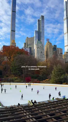 Dreaming of a white Christmas in New York ☃️⛸️🎄🥹 Crossing my fingers that we get some snow soon!! ❤️ #christmasinnewyork #nycchristmas #nyclife #centralpark #snowday 