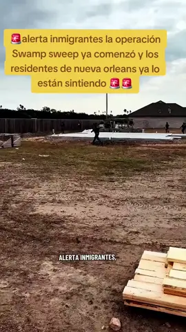 Gregory Bobino y agentes de la patrulla fronteriza comenzaron los operativos masivos en New Orleans. en home depot y en varios lugares de trabajo llegaron los agentes de inmigración para detener inmigrantes #redadas #neworleans #patrullafronteriza #homedepot #unitedstates 