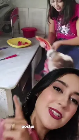 #CapCut #pecuaria #vidanaroça #vidanocampo #roça 