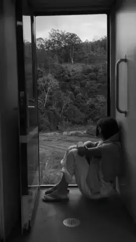 #في هذا اليوم 