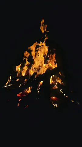 ✨🥀جن کے پاس خوبصورت خیالات ہو وہ کبھی بھی تنہا نہیں رہتے۔