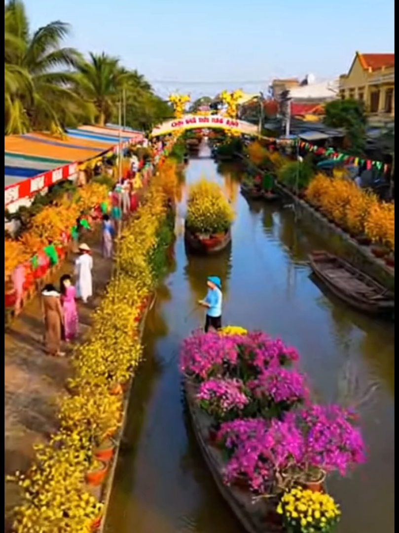 Ôi đẹp lắm mùa Xuân ơi, nôn Tết lắm rồi #tet #bentre71🌴🥥 #mientay #mientayquetoi #xuan 