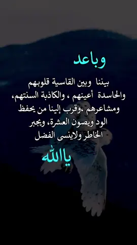 #اعاده_نشر🔃 #fypシ #fyp 