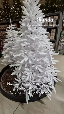 Am rămas 😲 Nu am văzut ceva atât de frumos . A trebuit sa ma opresc , eram fascinată , atâtea lumini că deja ochii mei erau in alt univers 😅 . Foarte frumos amenajat si spatios .  #olanda🇳🇱 #cranenbroek #christmasdecorating #decoracion #christmas @Iliutza Verciuc 