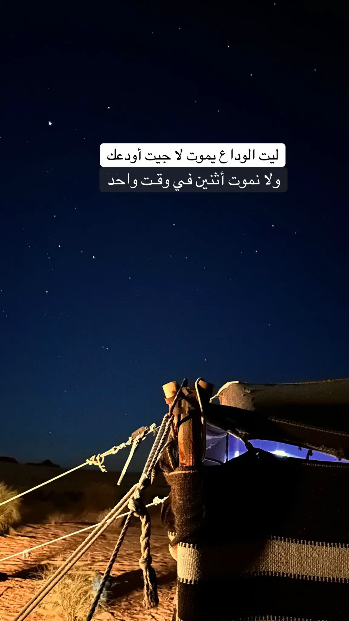 #صباح_الخير #ترند_تيك_توك #تصويري📸 #عزف #عود 