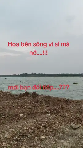 không muốn đau lòng, thì đừng nên động lòng.....#sst_tâm_trạng_buồn #xuhuong #xuhuongtiktok 