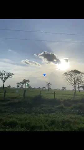 #paratiiiiiiiiiiiiiiiiiiiiiiiiiiiiiii #cancionllanera #llano#💙