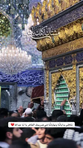مشتاك اكلك ياهله #قصيده #الامام_الحسين_عليه_السلام #ضريح_الامام_الحسين #زياره_الامام_الحسين_عليه_السلام 