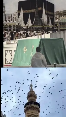 الهدية : #كسوةالكعبة المشرفة زادها الله تشريفًا وتعظيمًا وتكريمًا ومهابة في عصر الخلافة الأموية اهتم الخلفاء الأمويون بكسوة الكعبة،  وفي عهد الخليفة معاوية بن أبي سفيان كسيت الكعبة كسوتين في العام: كسوة في يوم عاشوراء والأخرى في آخر شهر رمضان استعدادًا لعيد الفطر، وكانت كسوة الكعبة ترسل من دمشق، حيث تصنع من أحسن الأقمشة وأفضلها وترسل إلى مكة في منطقة الكسوة  على أطراف مدينة دمشق سميت  الكسوة نسبة لذلك، حيث اشتهر محمل الحج الشامي الذي ينطلق من دمشق بجموع الحجيج المجتمعين من كافة البقاع ومن دول كثيرة في الشرق ووسط آسيا،                                                           كما أن معاوية هو أيضًا أول من طيب الكعبة في موسم الحج وفي شهر رجب. #كسوة_الكعبة_المشرفة  #بني_امية_اصلهم_ذهب  #سوريا_تركيا_العراق_السعودية_الكويت_عمان   