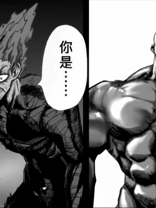 garou vs darkshine #opm #onepuchman #garou #anine #manga 