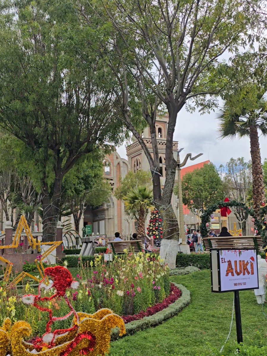 #huaraz_ancash_peru🇵🇪🇵🇪🏞️🌲 #navidad2025🌲🎅🤶🧑‍🎄 #dalemegusta 