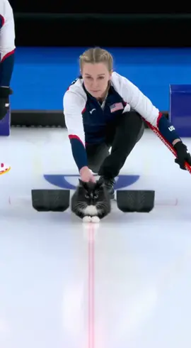 Gem offers up her services in Curling at the Olympics. #catsoftiktok #cats #winterolympics #curling #olympics 