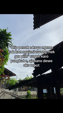 #4u #bismillahfypシ #foryoupage #jowostory #masukberanda 