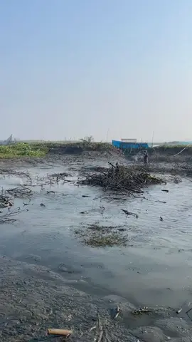 mruput budal subuh golek wader bonuse iwak kutuk