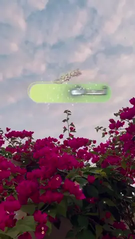 #صباحكم_معطر_بذكر_الله🌷🍃 