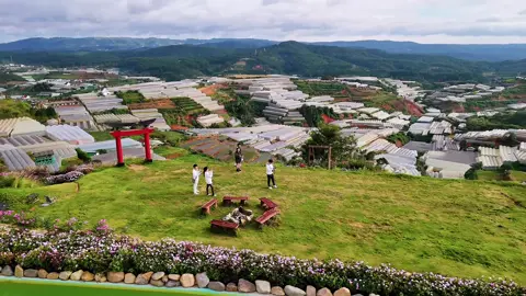 Đà Lạt những ngày không nắng #Chuyencuanang #Dalat