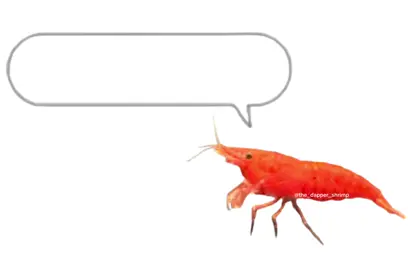 🎤🦐 #shrimp #meme