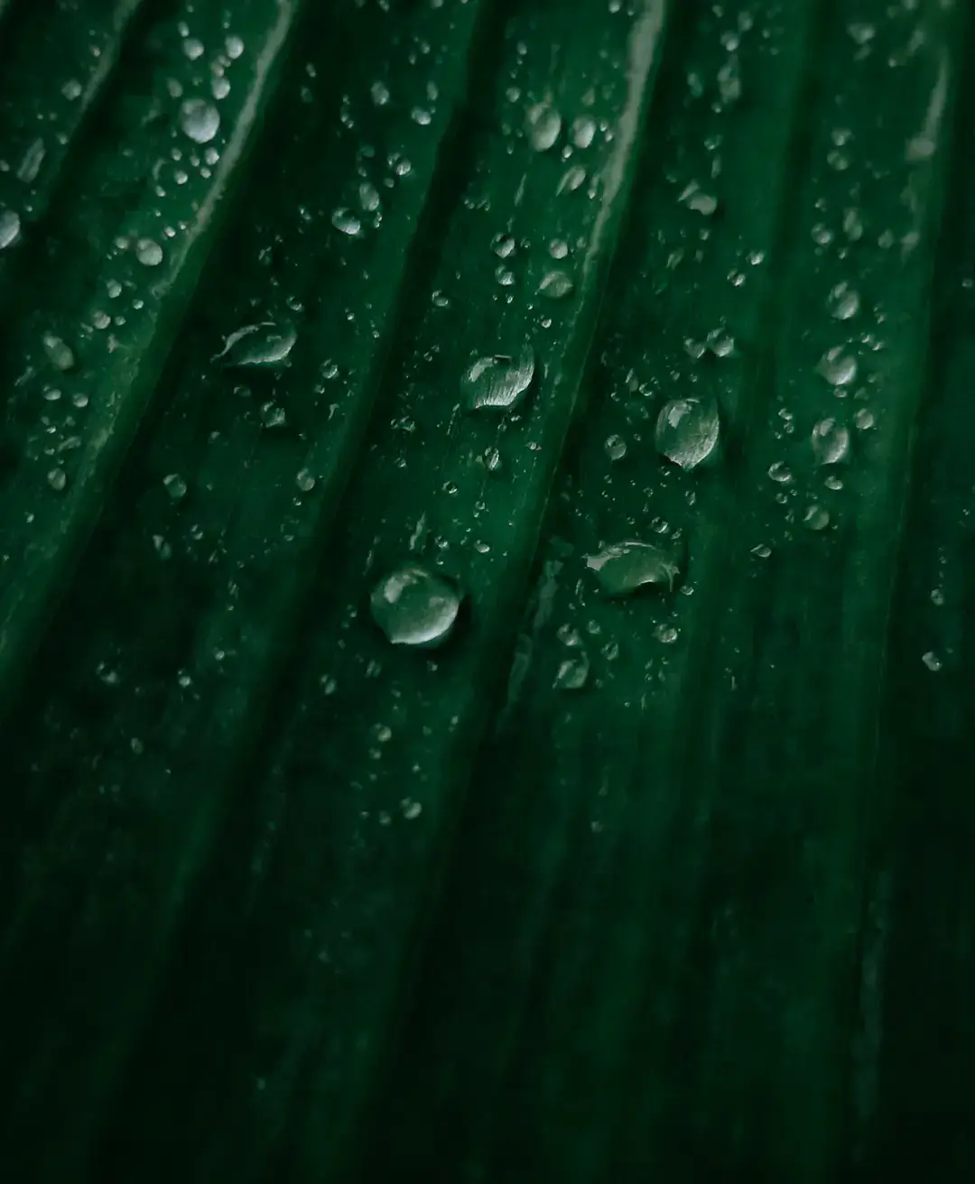 foto-foto random.  📷 Shot on tecno camon 40. #TECNOIndonesia #TECNOFansIndonesia  #tecnocamon40 #photography #foryou  @TECNO Indonesia Store @TECNO Kalimantan 