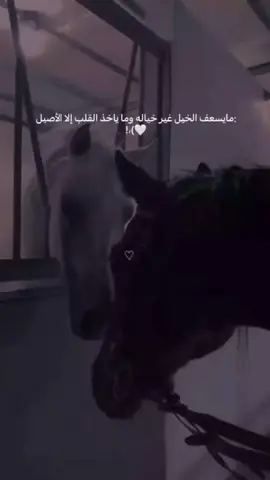 #foryou #2026 #viral 