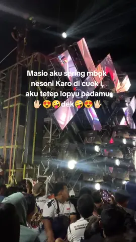 😍😍#fyp #horeg #karnavalviral #karnavalsoundsystem #soundhoreg 