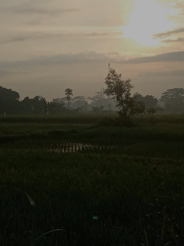bertemu atau tidak,bersatu atau tidak dia tetap teristimewa dalam hidupku#sambutmentaripagi 