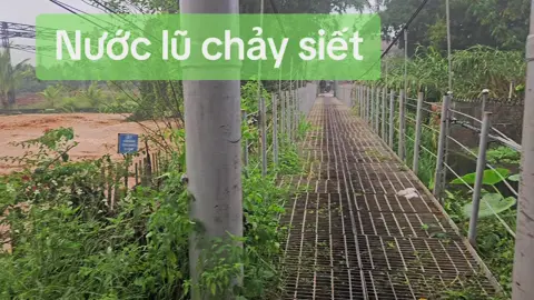 Lũ về sau 1 đêm , nhà thì ngập , nhà thì mất tài sản  Mong mẹ thiên nhiên hãy nhẹ nhàng với chúng con một chút ạ ! #lũlụt #bão #ngập #ngập_lụt #thiêntai 
