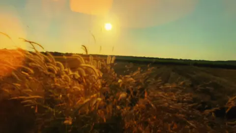 #CapCut Music chill story . #1vn #chill #capcutpioneer #pioneertemplate 