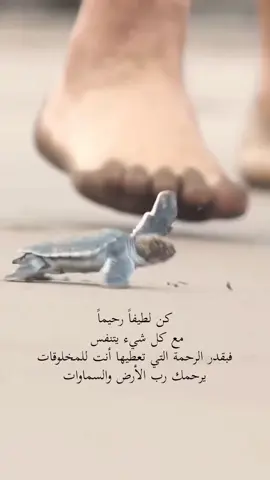 #كن لطيفآ رحيمآ مع كل شيء يتنفس ##✍🏻✍🏻