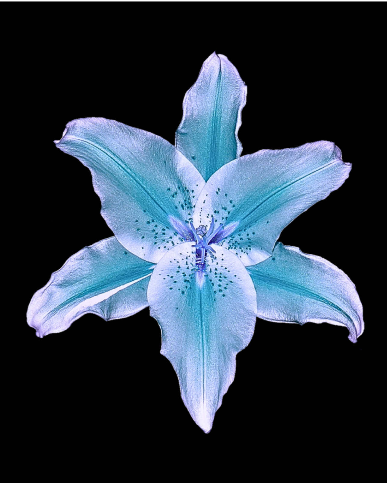 Bro I loveee this snow effect ❄️ Love Story by Indila #lyricvideo #lyrics #latenightvibes #indila 