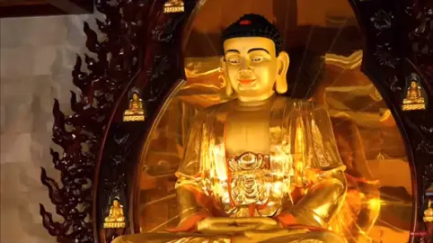 Hòa Thượng thượng Lệ hạ Trang  #PhậtGiáoViệtNam #xuhuongtiktok2024  #nghilephatgiao #nghile #trending 