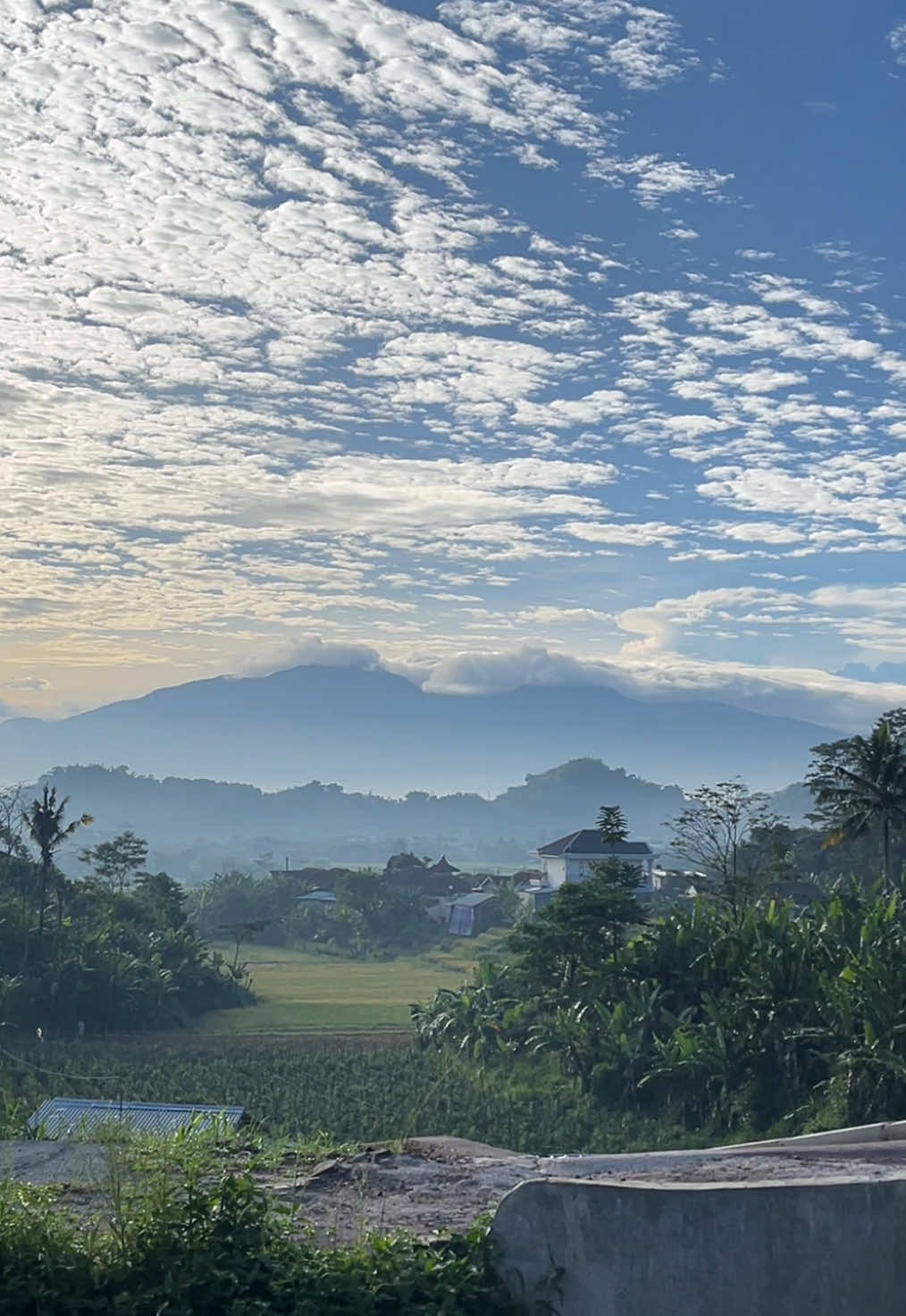 Ternyata gausah jauh jauh di Soreang juga ada tempat cuci mana se indah ini✨