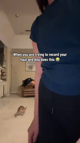 Not on the carpet 😭 @itgirl (🎥:@Lexi) 