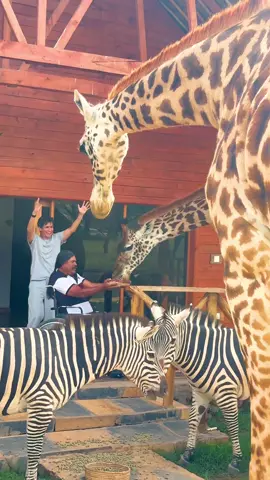 si dan like y nos siguen es como nos ayudan para lograrlo! #parati #foryou #fyp 