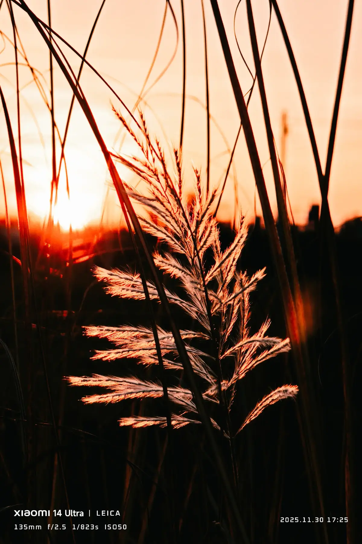 Many people tell me that I should buy an iPhone or a Vivo to get the best photos, but no — I choose Xiaomi because Leica’s image quality gives me the feeling of returning to the peacefulness of the old cities, the rustic countryside, and above all, the emotions we need when we look back at our memories... #EmClimaUltraLeve #cinematicgraphy #fyppppppppppppppppppp #foryou #xiaomi 