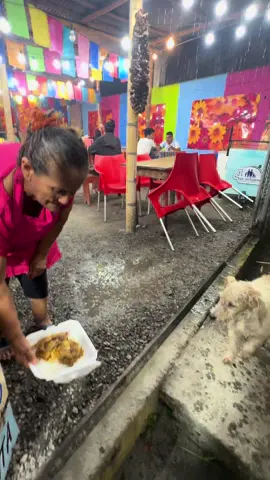 Con lluvia con sol ellos siempre vienen por un platito de comida #tena #adopta #ecuatorianos🇪🇨en🔵usa🇺🇲 #ecuatorianosenespaña #puyo 