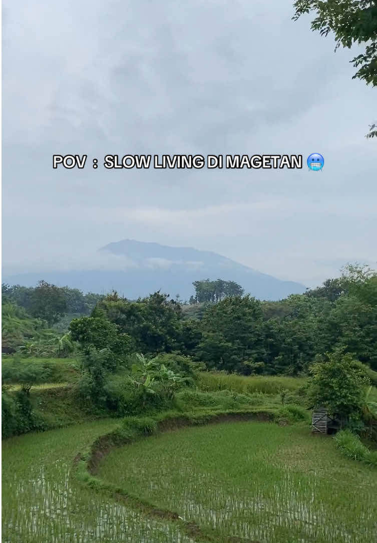 #magetan #magetan24jam #magetanbanget #magetanhitz #fyp 