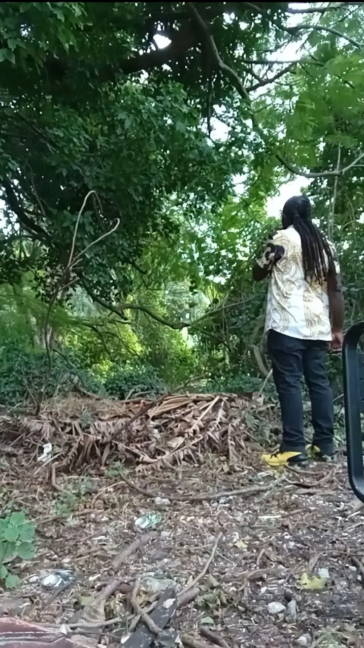 When God say go they're to know its unstoppable stay with Tony Fyaa he need all to be the witness to see what god have in-store coming we have alot for each one's right now Tony Fyaa looking forward to bring something new to all reggae and dancehall music lover's table on the last week of december riding in to January where we also will be dropping 1 more new single with new artist title Cozette 🫡 Do Remember God Got You🫵folks👌 #dancehall #dancehallartist #tonyfyaa #newthingscoming #tiktokfollowers 