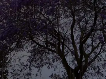 حساب بدون زنوب 🤍🌿  . #أينسى_القلبُ_انساناً #بدون_موسيقى #اناشيد #الرتش_فى_زمه_الله💔 #no_music 